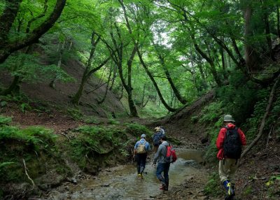 2024-9月　倶楽部員作品