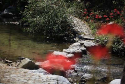 2024-10月　月選出作品（互選会、講師・選）