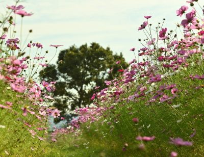 史跡・恭仁京　2024-10
