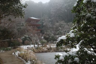 2024-12月　月選出作品（互選会、講師・選）