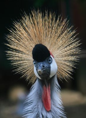 2025-01月　倶楽部員作品