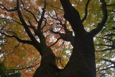 2025-1月　月選出作品（講師・選）