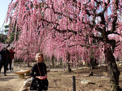 2025-04月　倶楽部員作品