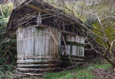 2025-4月　月選出作品（互選会、講師・選）