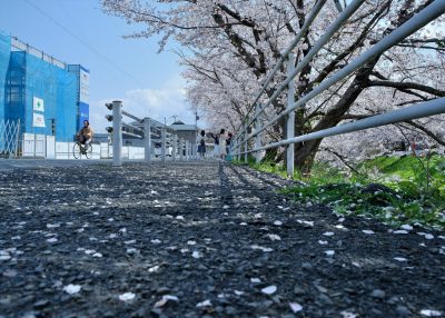 2025-5月　倶楽部員作品