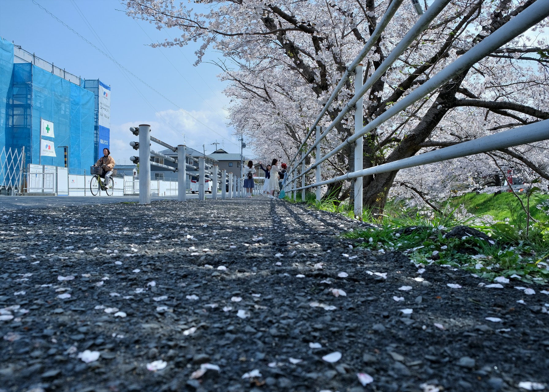 2025-5月　倶楽部員作品