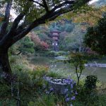 第29回やましろの四季フォトコンテスト