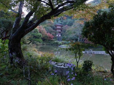 第29回やましろの四季フォトコンテスト