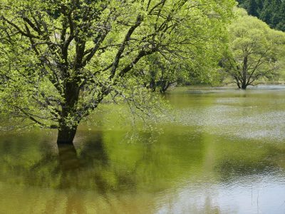 2025-6月　倶楽部員作品