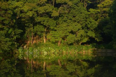 2025-6月　月選出作品（互選会、講師・選）作画小見