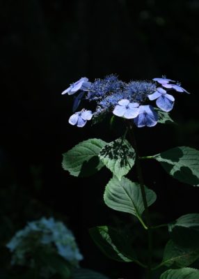 2025-7月　月選出作品（講師・選）