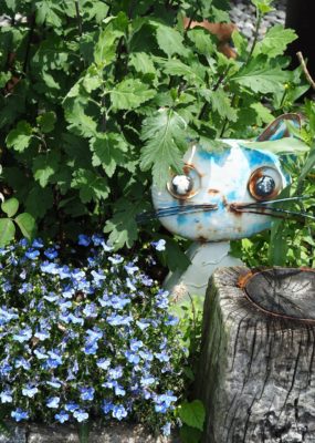 2025-7月　倶楽部員作品