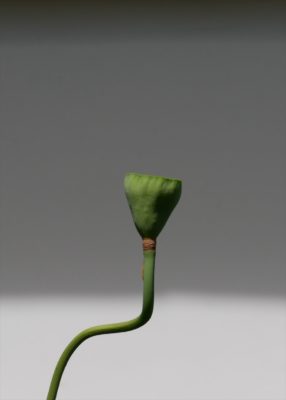 2025-8月　月選出作品（互選会、講師・選　作画小見）