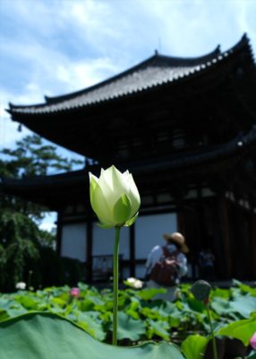 2025-8月　倶楽部員作品