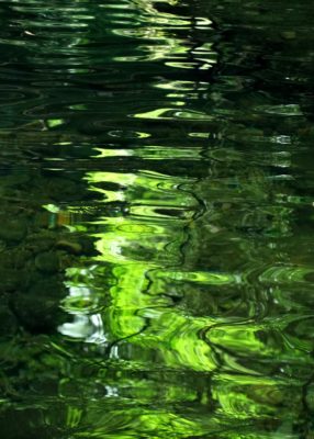 2025-9月　倶楽部員作品