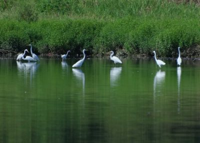 2025-10月　月選出作品（互選会、講師・選　作画小見）