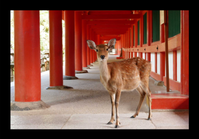 月間展示ギャラリー