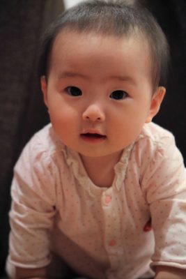 2025-12月　倶楽部員作品　