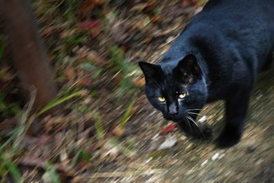 2026-1月　月選出作品（講師・選）